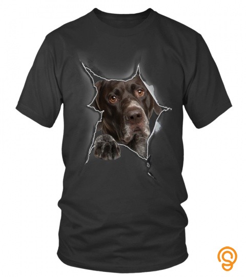 German Shorthaired Pointer 3D