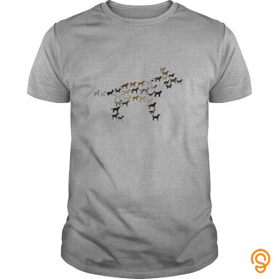 Professional many dogs = one dog Kids' Shirts Kids' Premium T Shirt T Shirts For Adults