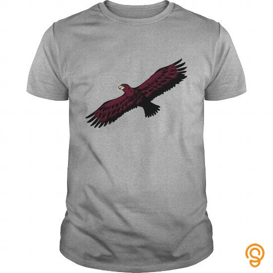 Efficient Eagle bird flying anmut birds of prey TShirts201733100447 Tee Shirts For Sale