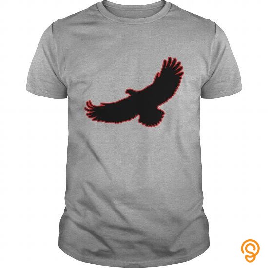 Clothing 1 color raven mystical crows flying birds Womens TShirts Tee Shirts Wholesale