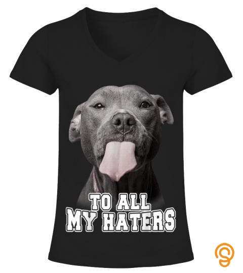 PIT BULLS   TO ALL MY HATERS