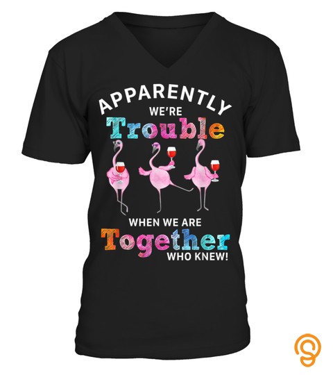 Apparently Were Trouble Wine Flamingo When We Are T Shirt