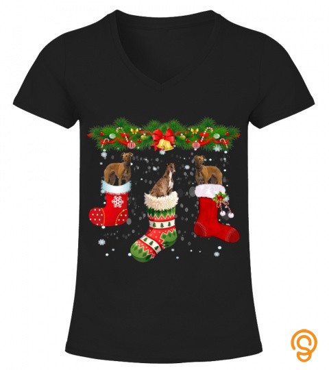 three greyhound dog in sock christmas santa hat xmas dog 