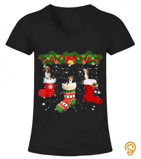 three beagle dog in sock christmas santa hat xmas dog 