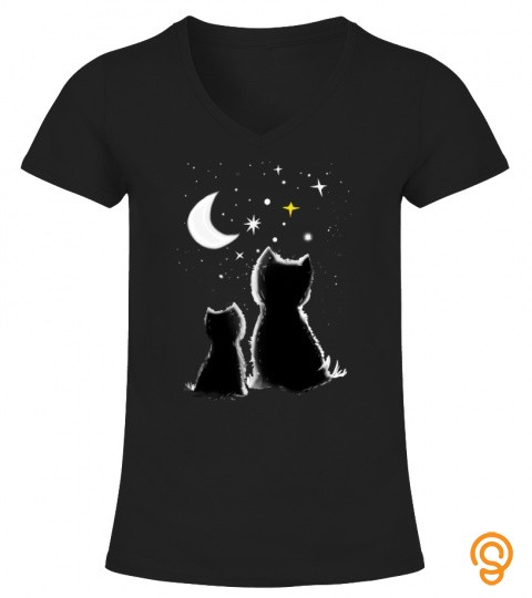  silhouette of two cats staring into the night sky
