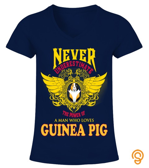 Guinea Pig Animals Lover