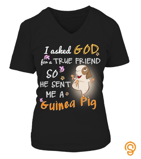 God Sent To Me A Guinea Pig