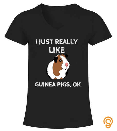 I Just Really Like Guinea Pigs Ok Tshirt   Hoodie   Mug (Full Size And Color)