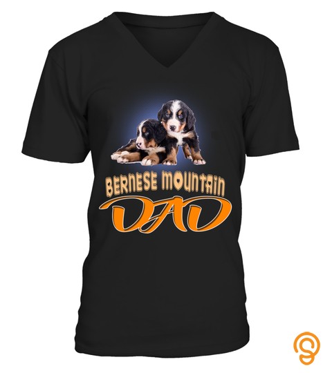 Couple Bernese Mountain Dog Puppy Dad