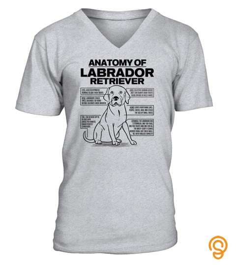 Anatomy of a Labrador Retriever Funny Dog owner gifts shirt