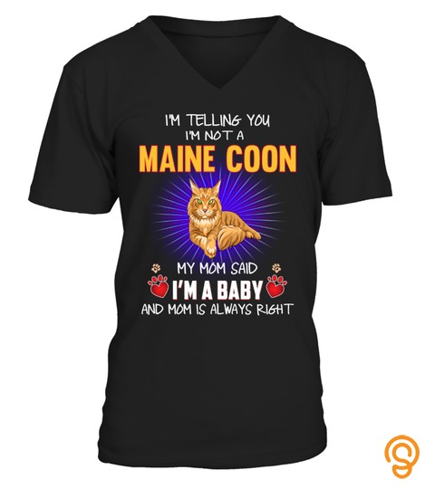 Mom Said A Maine Coon Baby