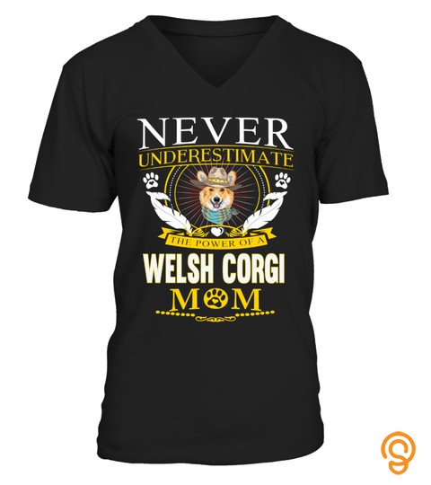 Power Of A Welsh Corgi Mom