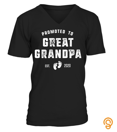 Mens Promoted To Great Grandpa 2020 Pregnancy Announcement T Shirt