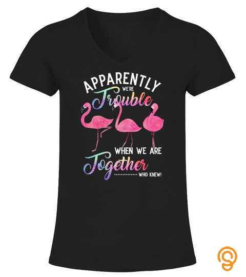Apparently We're Trouble When We Are Together Flamingo T Shirt