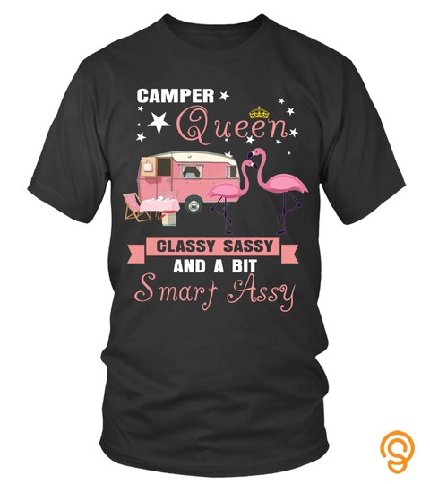 Flamingo Camper Queen T Shirt Classy Sassy Smart Assy Hoodies Sweatshirts