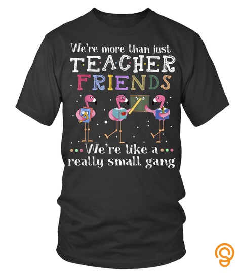 Were More Than Just Teacher Friends Flamingo Tshirt