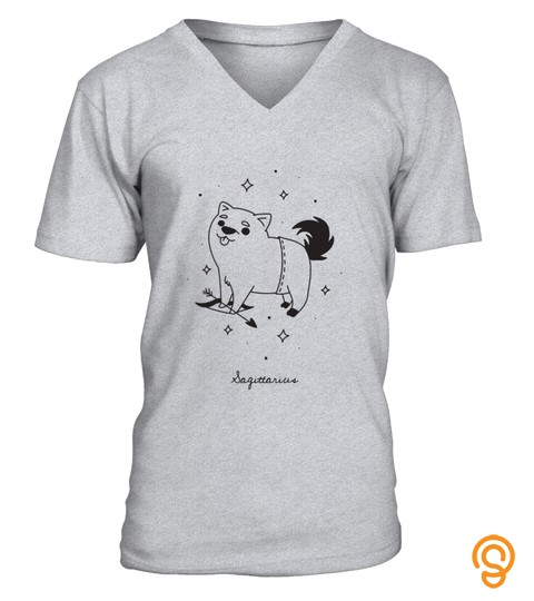 Sagittarius T Shirt Gift Idea
