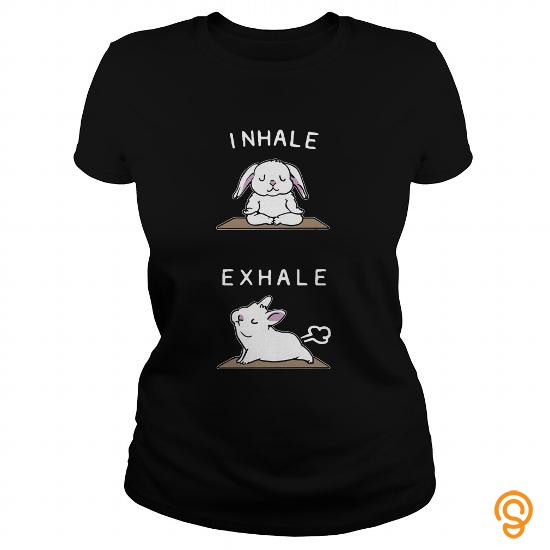 Quality Funny Bunny Rabbit Yoga Pets TShirt T Shirts Buy Now