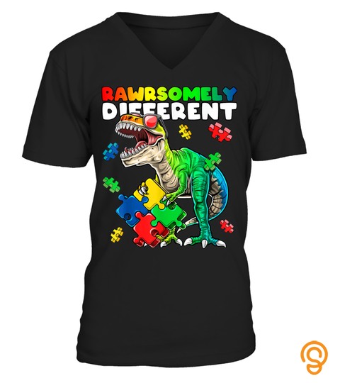 Rawrsomely Different Dinosaur Autism Awareness Puzzle Gift T Shirt